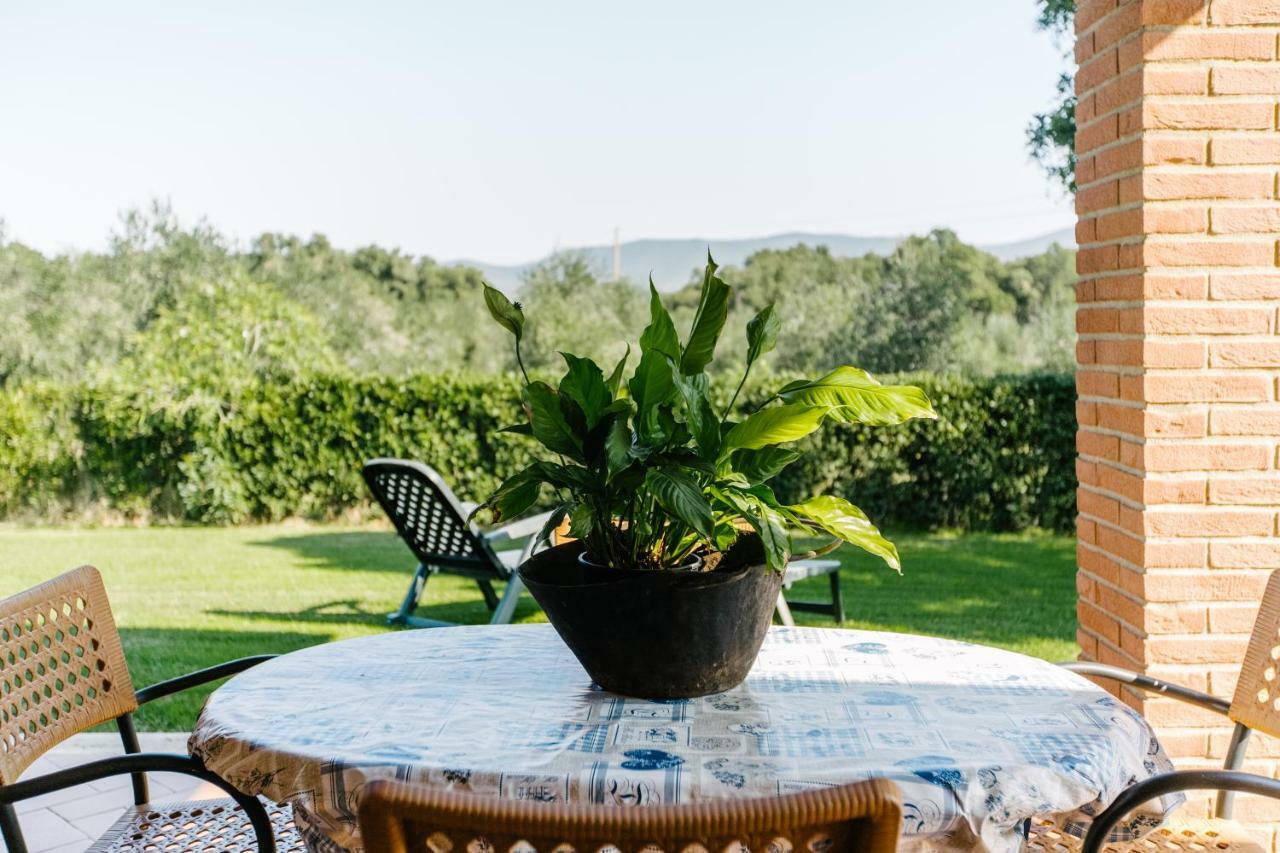 Agriturismo Casa Andreina 카스틸리오네 델라 페스카이아 외부 사진