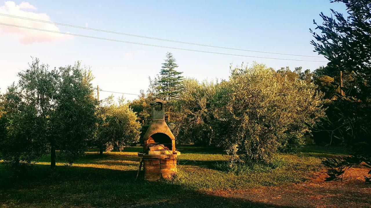 Agriturismo Casa Andreina 카스틸리오네 델라 페스카이아 외부 사진
