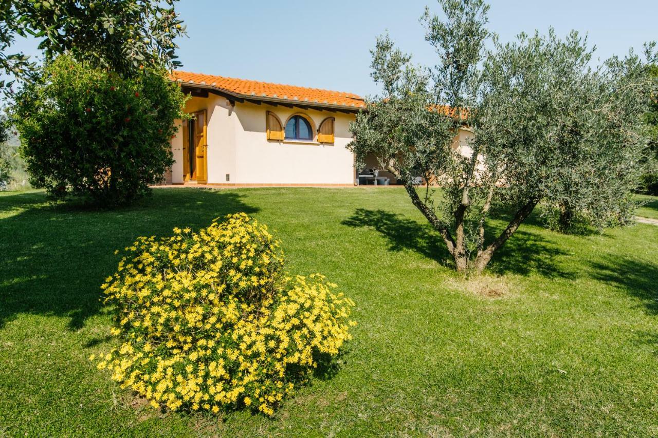 Agriturismo Casa Andreina 카스틸리오네 델라 페스카이아 외부 사진